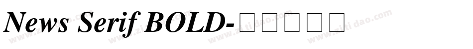 News Serif BOLD字体转换